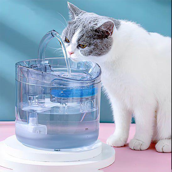 fontaine a eau pour chat - universmiaou