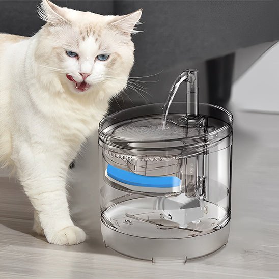 fontaine a eau pour chat - universmiaou