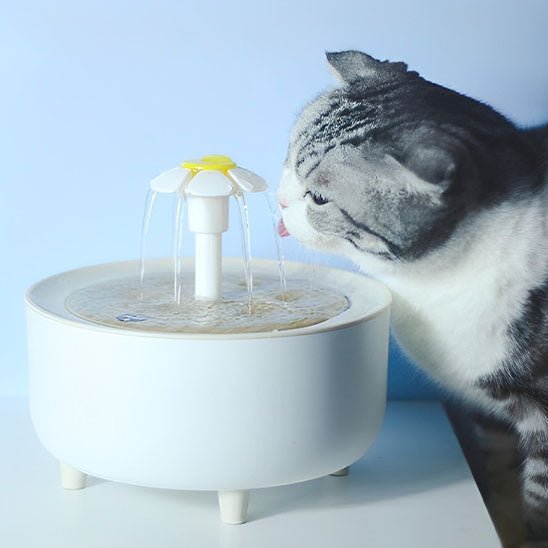 Fontaine à eau pour Chat - universmiaou