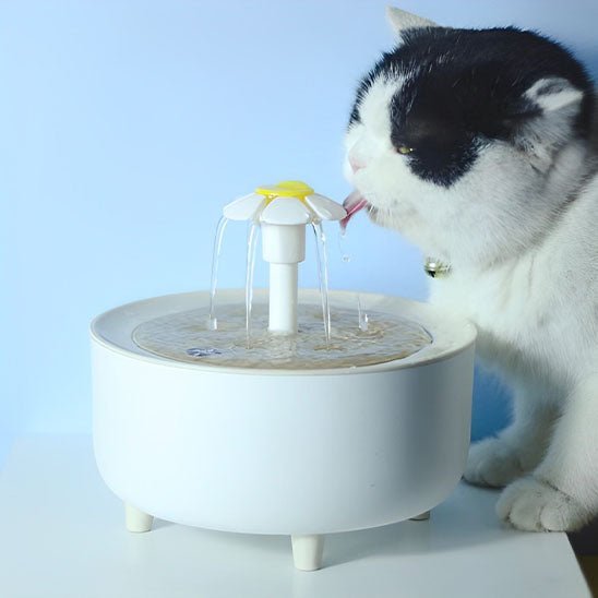 Fontaine à eau pour Chat - universmiaou
