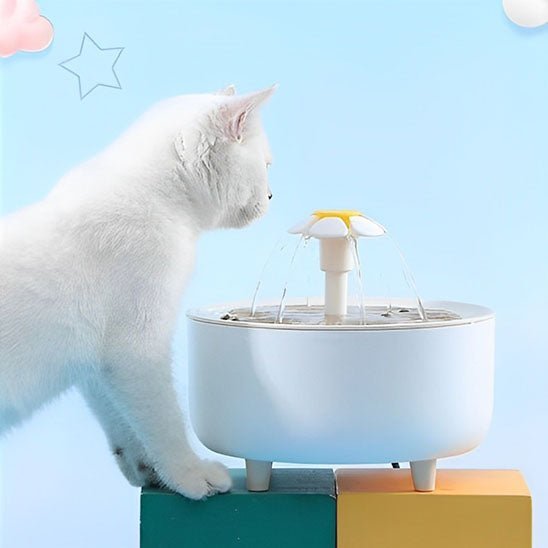 Fontaine à eau pour Chat - universmiaou