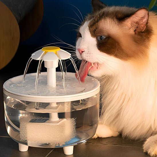 Fontaine à eau pour Chat - universmiaou