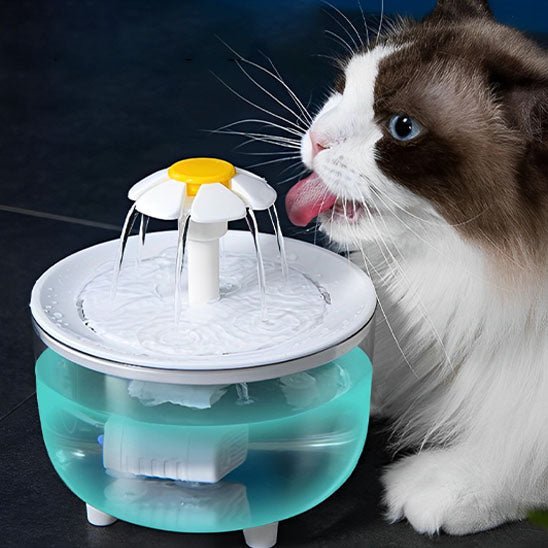 Fontaine à eau pour Chat - universmiaou
