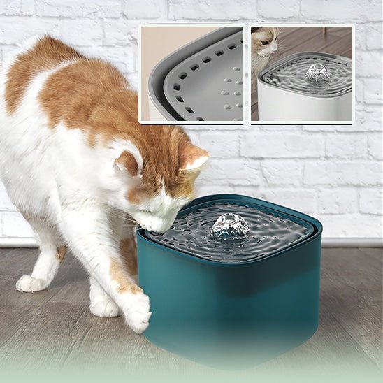 Fontaine à eau silencieux pour chat - universmiaou