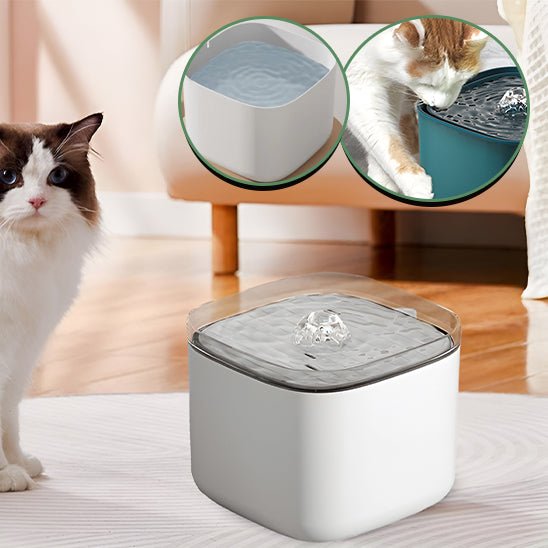 Fontaine à eau silencieux pour chat - universmiaou