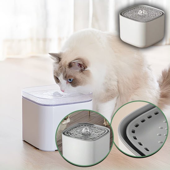 Fontaine à eau silencieux pour chat - universmiaou