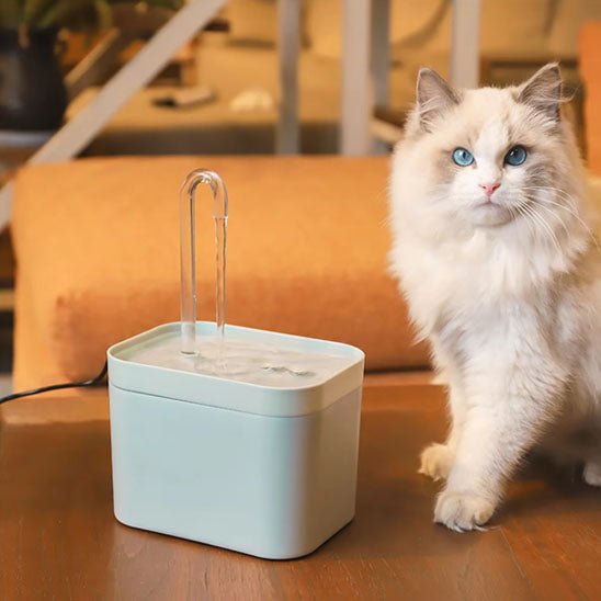 Fontaine à eau ultra silencieuse pour chat - universmiaou