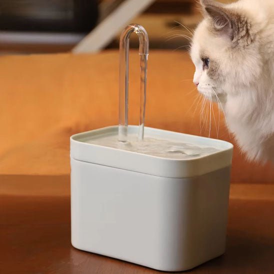Fontaine à eau ultra silencieuse pour chat - universmiaou