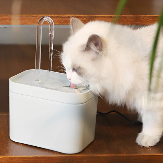 Fontaine à eau ultra silencieuse pour chat - universmiaou