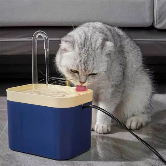 Fontaine à eau ultra silencieuse pour chat - universmiaou