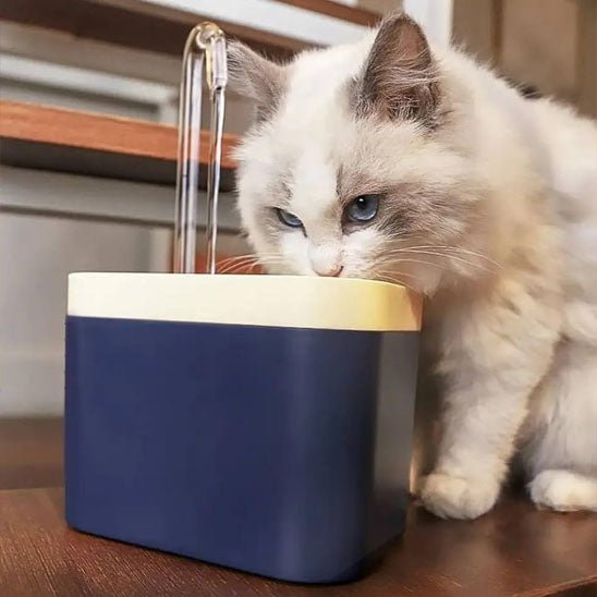 Fontaine à eau ultra silencieuse pour chat - universmiaou