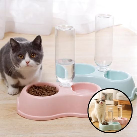 Gamelle à double plats avec distributeur d'eau automatique - universmiaou