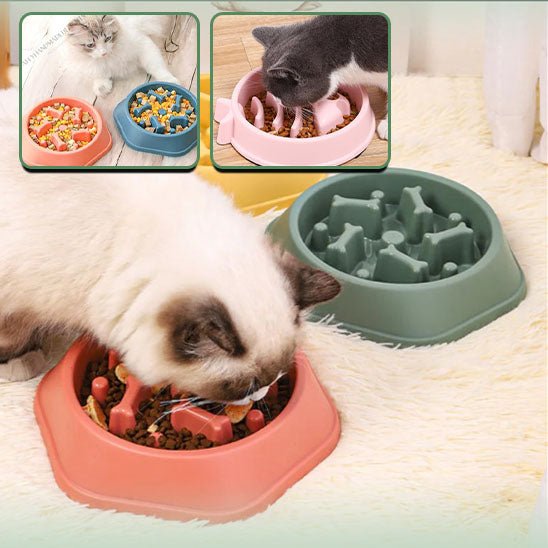 Gamelle anti - dérapante pour chat - universmiaou