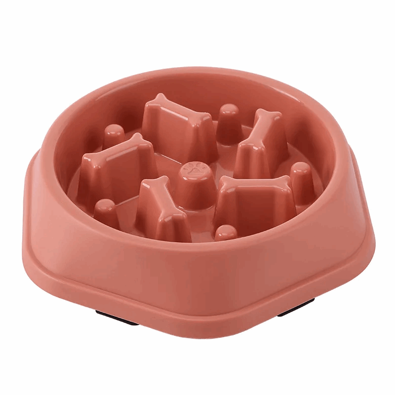 Gamelle anti - dérapante pour chat - universmiaou