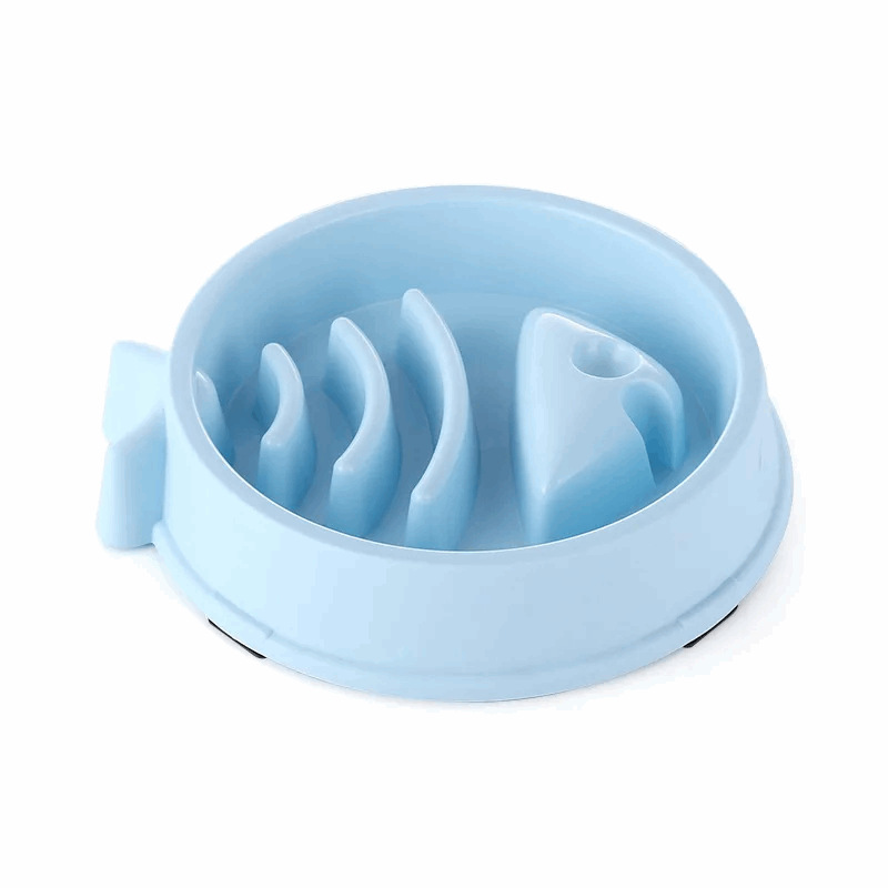 Gamelle anti - dérapante pour chat - universmiaou