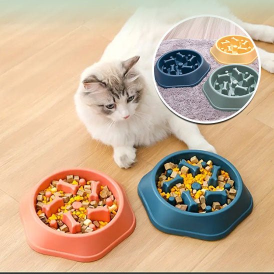Gamelle anti - dérapante pour chat - universmiaou