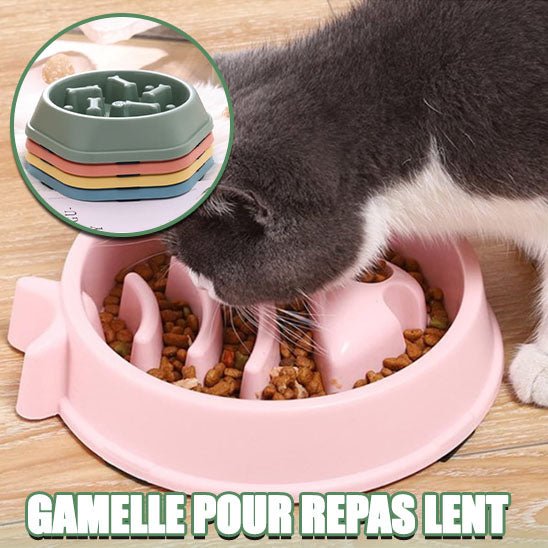 Gamelle anti - dérapante pour chat - universmiaou