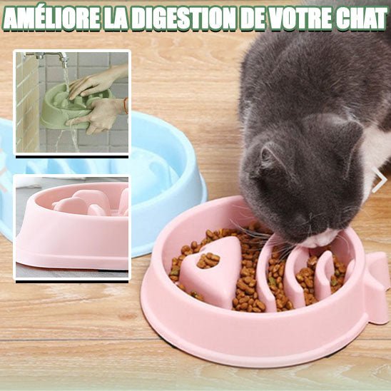 Gamelle anti - dérapante pour chat - universmiaou