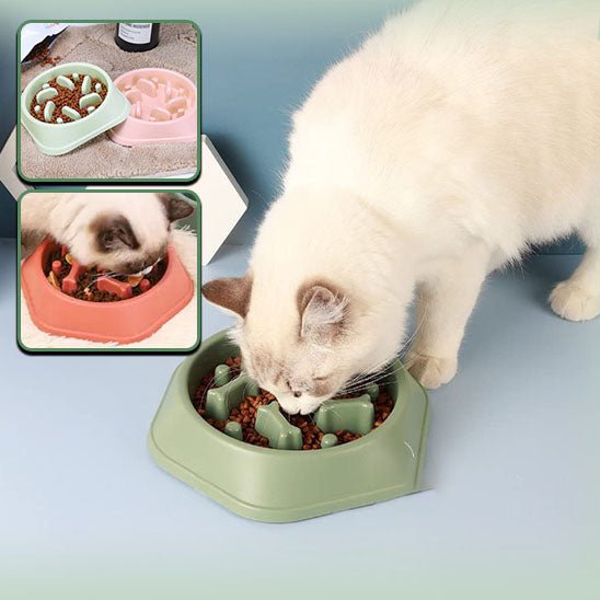 Gamelle anti - dérapante pour chat - universmiaou