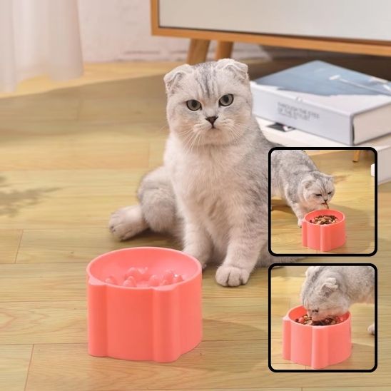 Gamelle anti glouton chat - universmiaou
