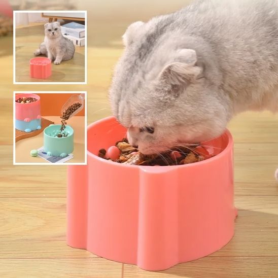 Gamelle anti glouton chat - universmiaou
