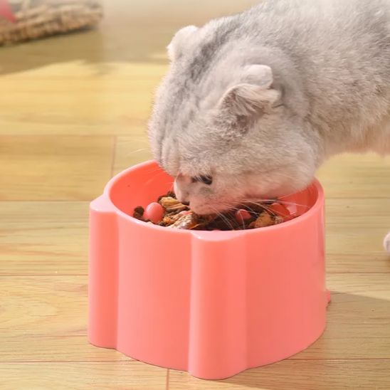 Gamelle anti glouton chat - universmiaou