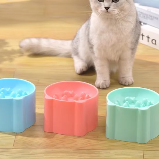 Gamelle anti glouton chat - universmiaou