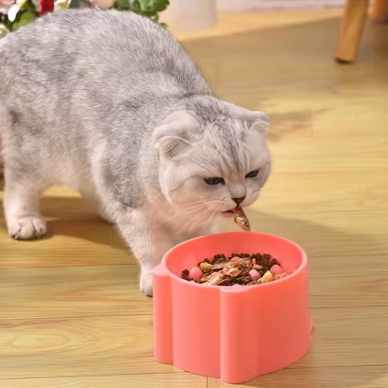Gamelle anti glouton chat - universmiaou