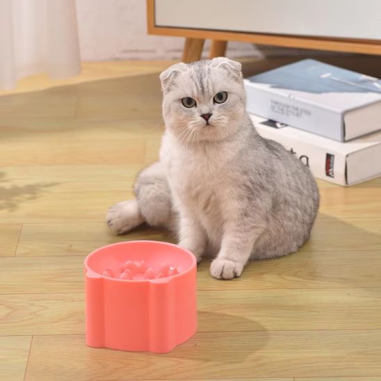 Gamelle anti glouton chat - universmiaou
