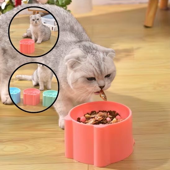 Gamelle anti glouton chat - universmiaou