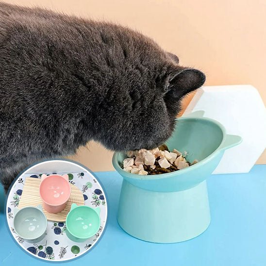 Gamelle anti - renversement pour chat - universmiaou
