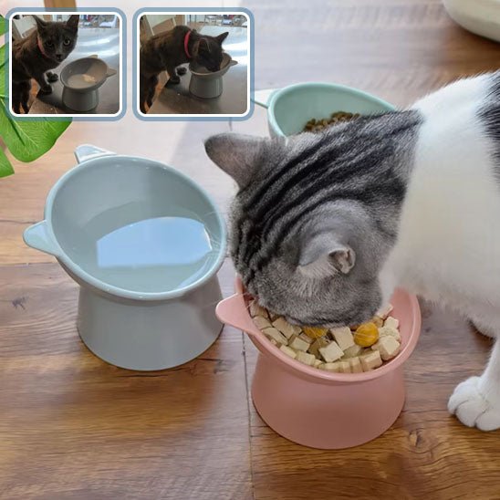 Gamelle anti - renversement pour chat - universmiaou