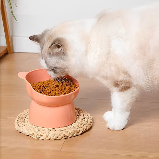 Gamelle anti - renversement pour chat - universmiaou