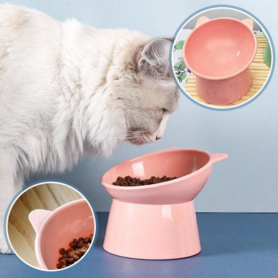 Gamelle anti - renversement pour chat - universmiaou