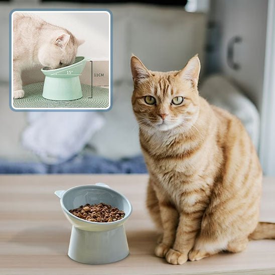 Gamelle anti - renversement pour chat - universmiaou