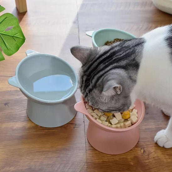 Gamelle anti - renversement pour chat - universmiaou