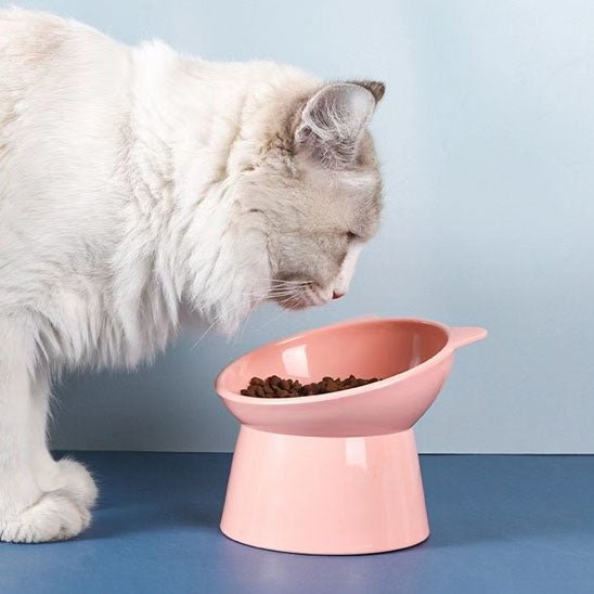 Gamelle anti - renversement pour chat - universmiaou