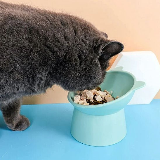Gamelle anti - renversement pour chat - universmiaou