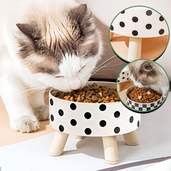 Gamelle artisanale pour chat - universmiaou