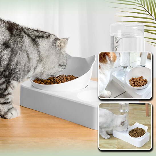 Gamelle avec distributeur d'eau pour chat - universmiaou