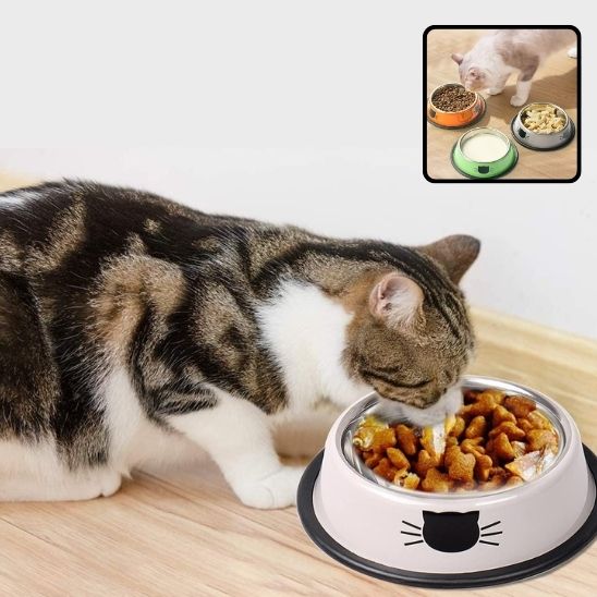 Gamelle de luxe pour chat - universmiaou