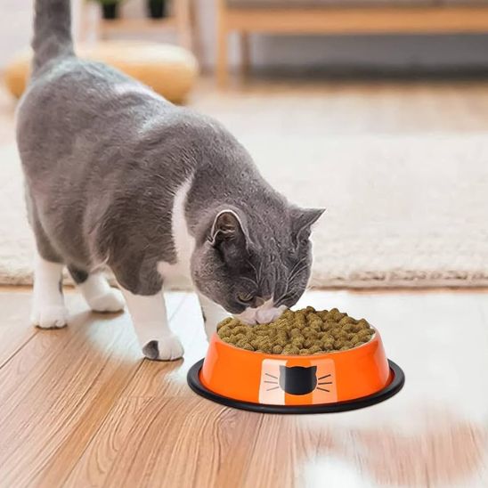 Gamelle de luxe pour chat - universmiaou