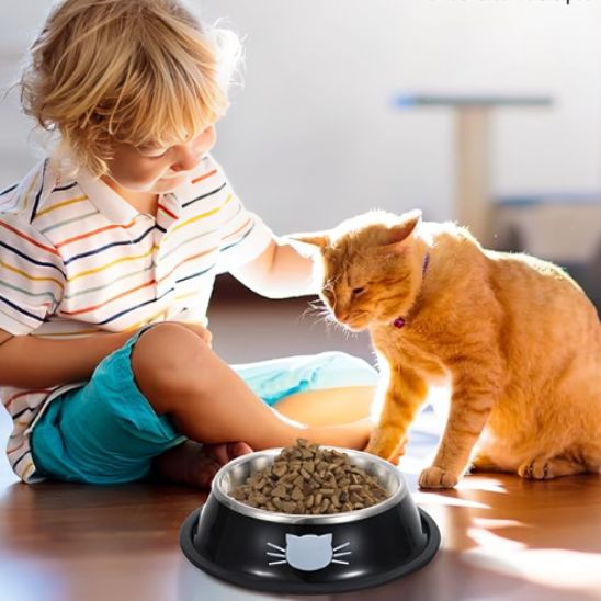 Gamelle de luxe pour chat - universmiaou