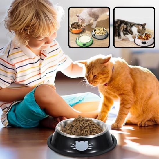Gamelle de luxe pour chat - universmiaou