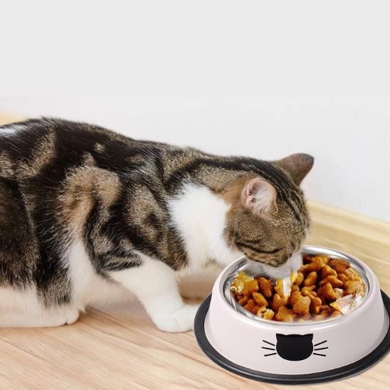 Gamelle de luxe pour chat - universmiaou