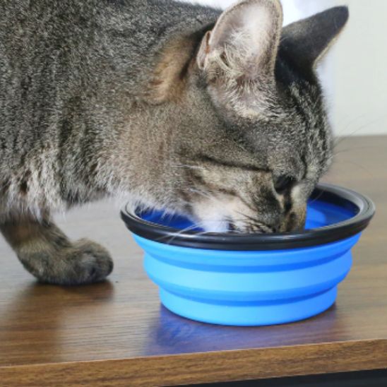 Gamelle de voyage pliable pour chat - universmiaou