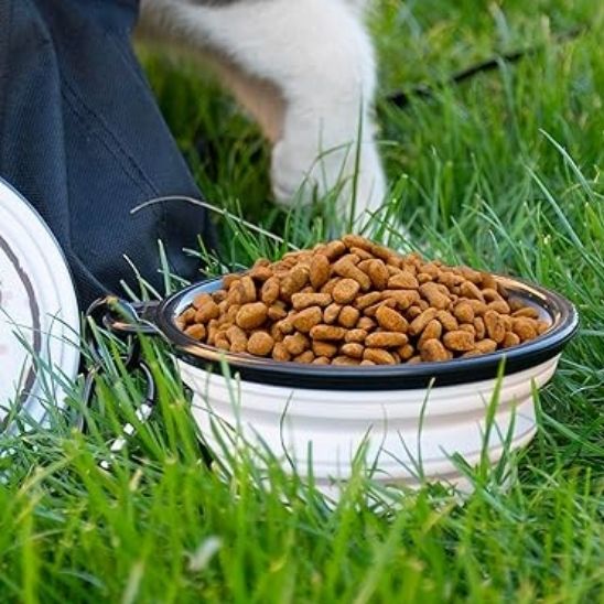 Gamelle de voyage pliable pour chat - universmiaou