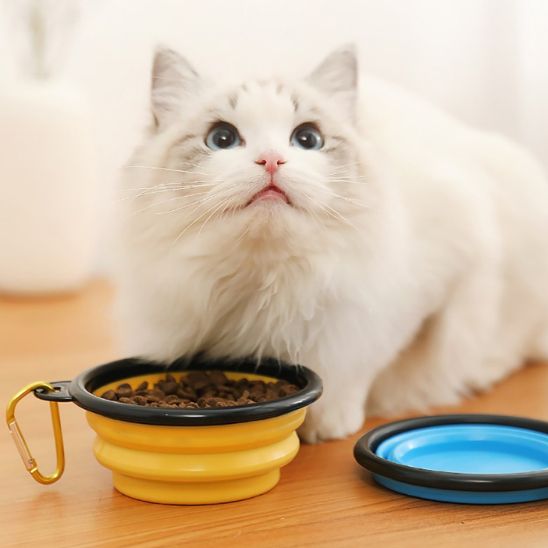 Gamelle de voyage pliable pour chat - universmiaou