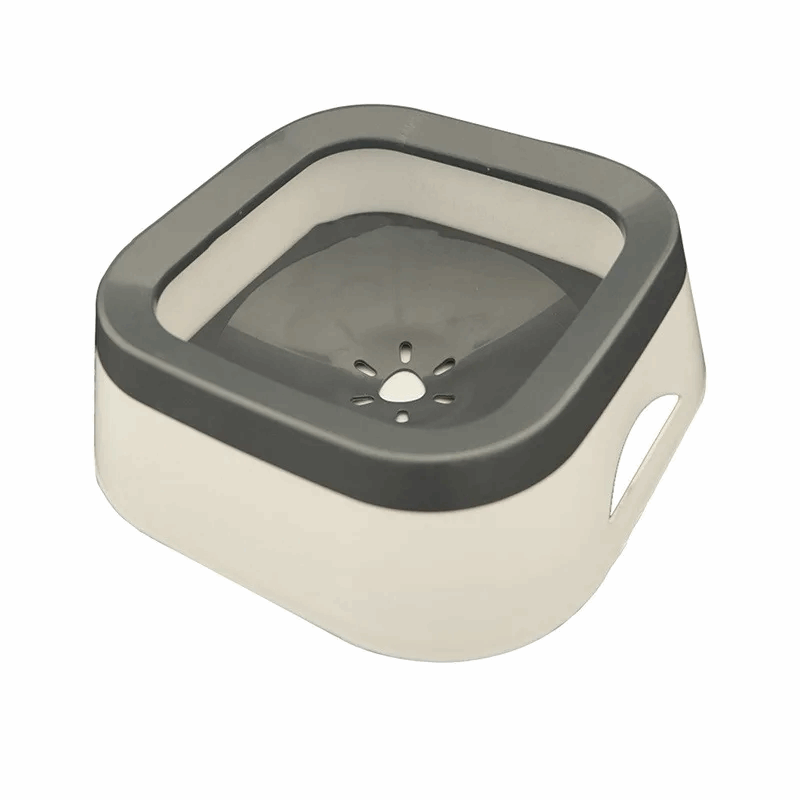 Gamelle d'eau anti - éclaboussures pour chat - universmiaou