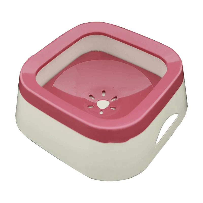 Gamelle d'eau anti - éclaboussures pour chat - universmiaou